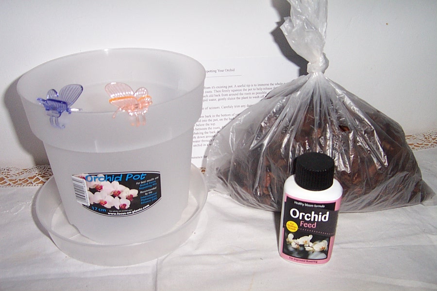 Orchid Care Help and Tips Orchid Compost Which To choose For Your