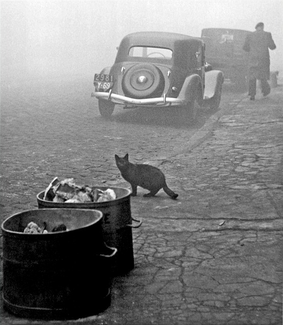 40 Amazing Historical Pictures - Paris. 1950. 40 Amazing Historical Pictures - Paris. 1950.