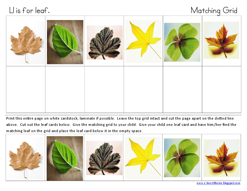 A Heart For Home: Free Printables: Ll is for Leaf Tot & Preschool Set