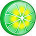 LimeWire PRO 5.5.16 Multilingual