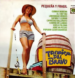 Tropical Del Bravo - Gotitas De Amor Tropical Del Bravo - Gotitas De Amor