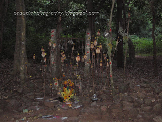 Forest-Rural-Temple