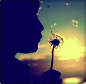If wishes came true,