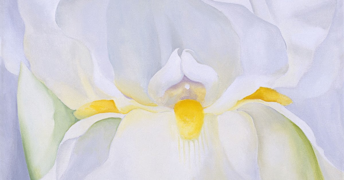 Petit Galerie D Art Georgia O Keeffe Lirio Blanco N º 7