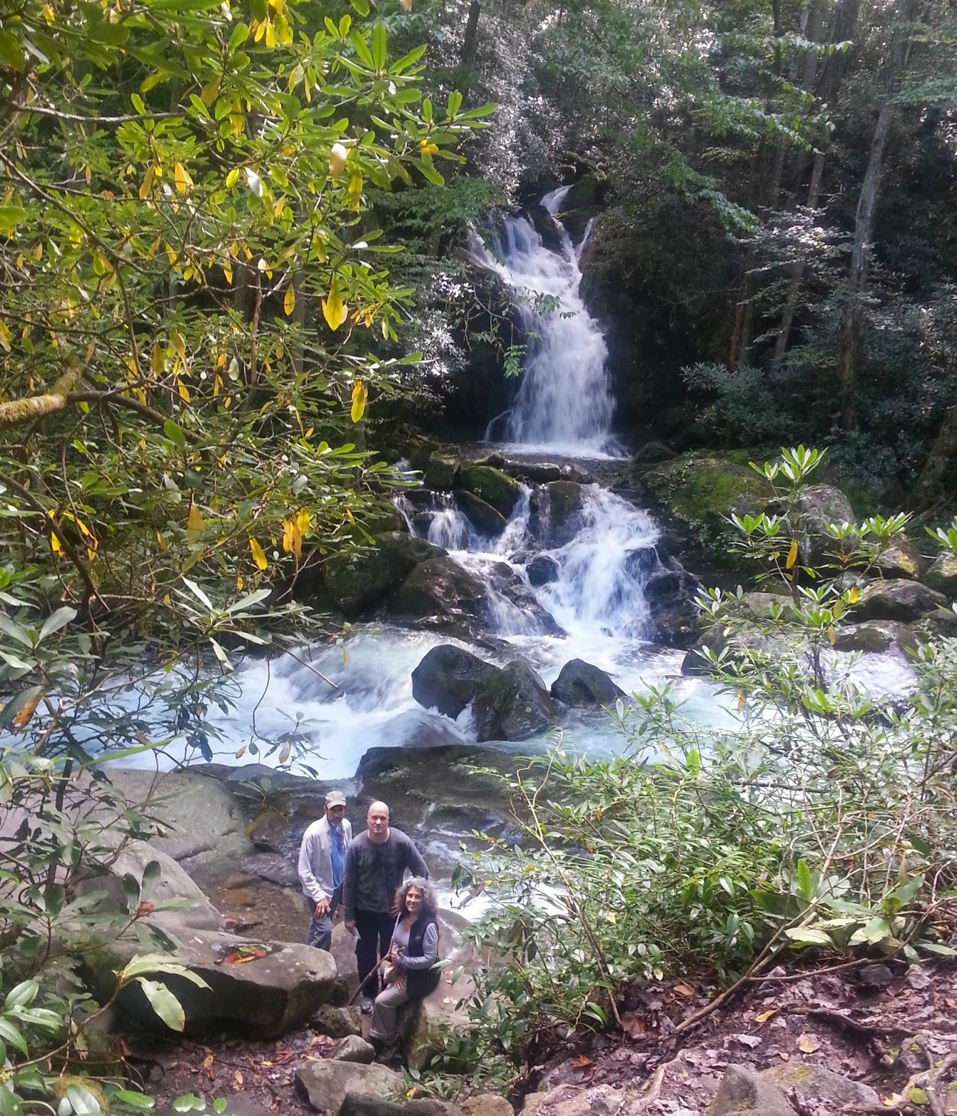 Tomfoolery Maggie Valley Waterfalls