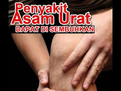 obat alami sembuhkan asam urat