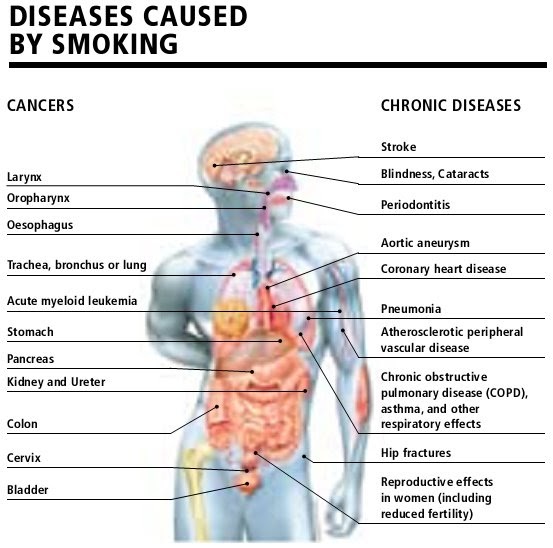 Smoking dangers share blog