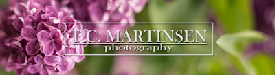 T.C. MARTINSEN Photography