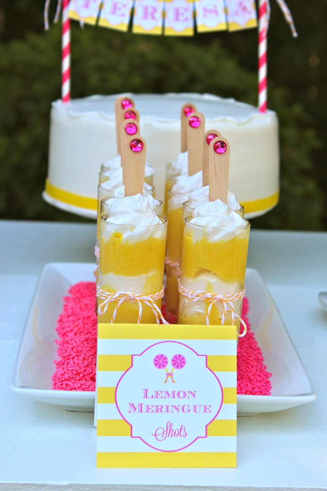Lollipops and Lemonade Bloom Designs