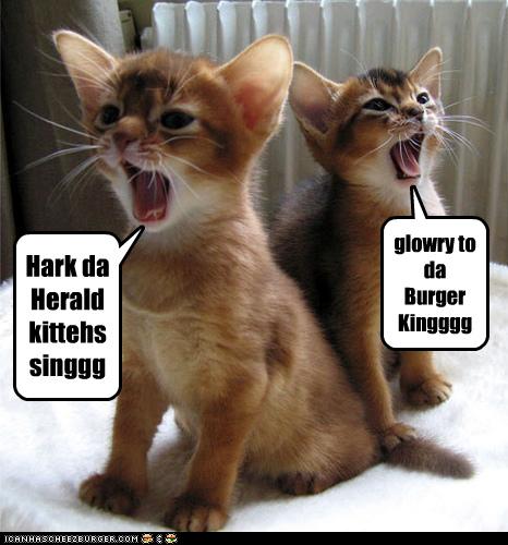 Justacargal Hump Day Humor Lol Catz Justacargal Hump Day Humor Lol Catz