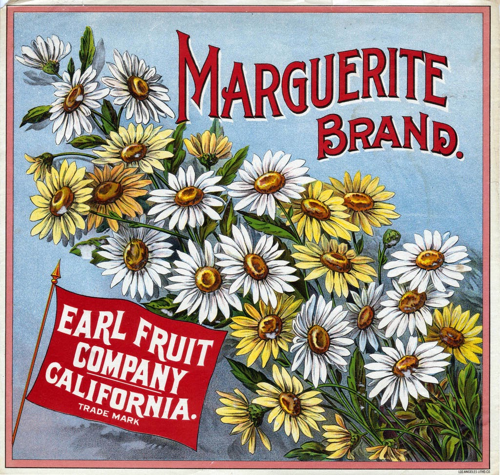 Los Angeles Daisy Flowers Orange Citrus Fruit Crate Label Art Print