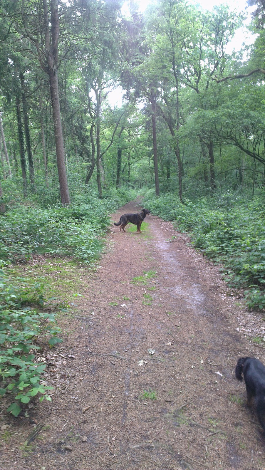 Der Stortebeker Park In Wilhelmshaven Familienausflug Der Oldenburg Blog