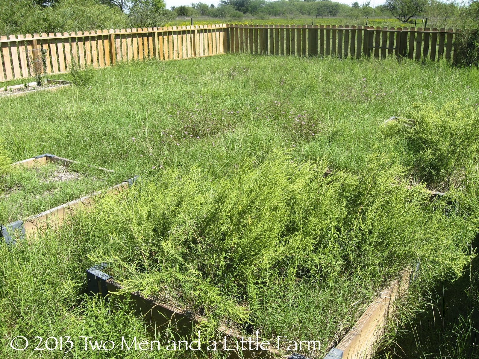 Two Men and a Little Farm THE GOOD THE BAD AND THE UGLY GARDEN