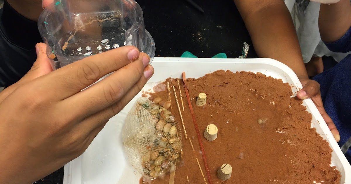 Mr. Forde - Life Science: Erosion control experiments and presentations!