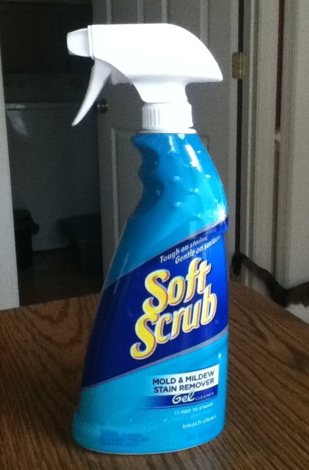 Swimming in Cats Soft Scrub Mold & Mildew Stain Remover Product Review