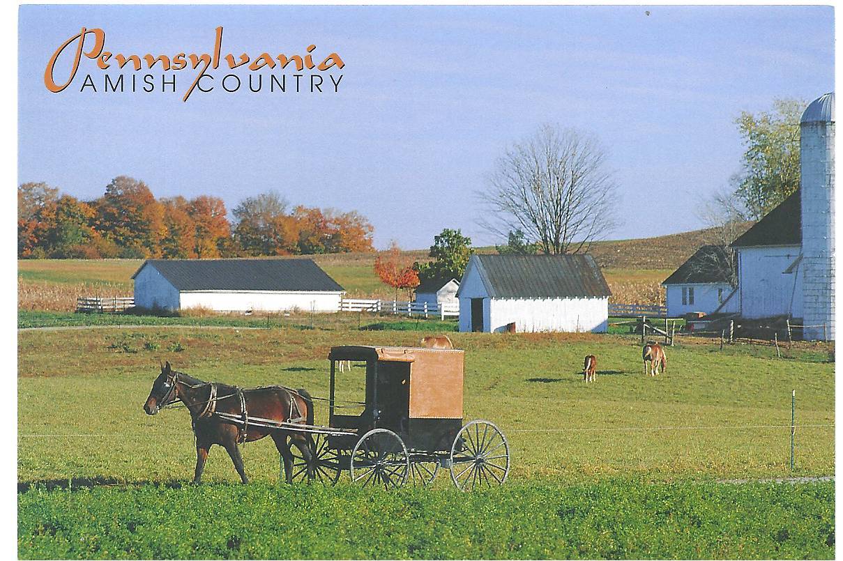 Black Buzz A Visit To The Amish Countryside in Volant PA