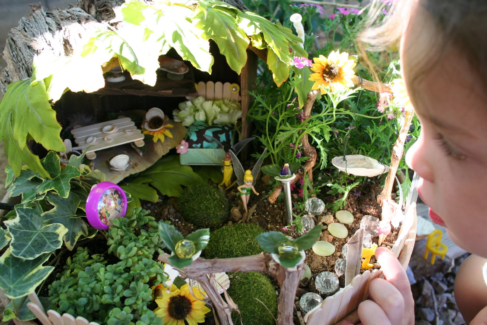 blog: How to attract a Fairy to your backyard...