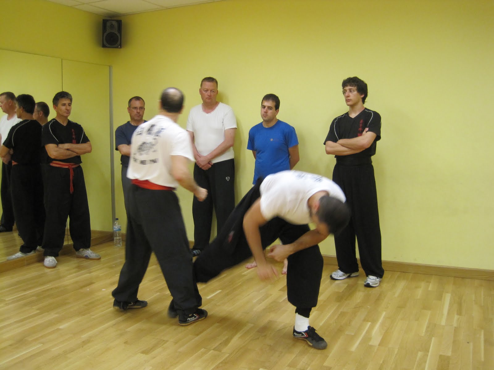 PAK MEI,Ceja Blanca,White Eyebrow, Asociacion Cheung´s Pak mei Kung Fu España