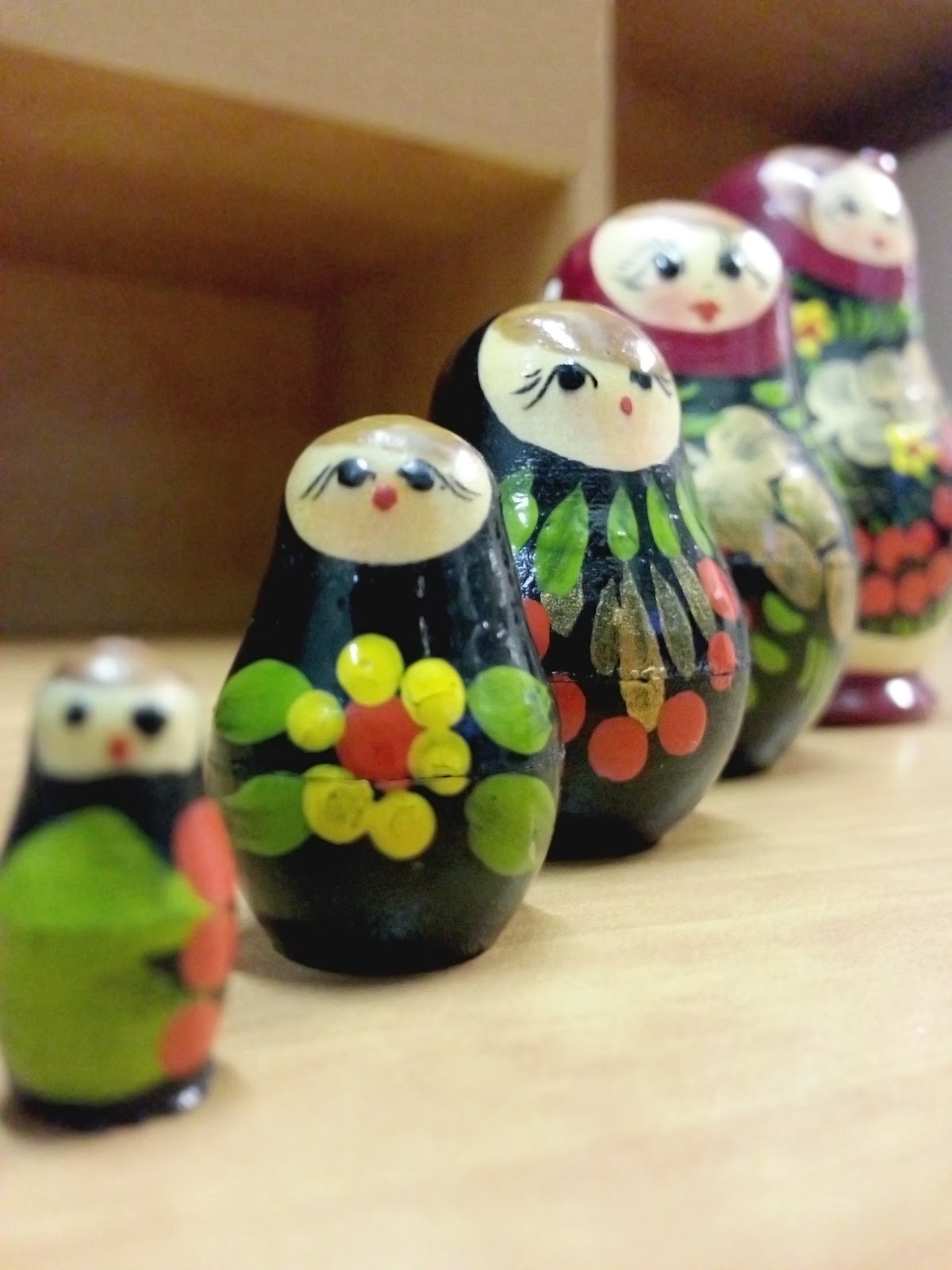 Upper Elementary Montessori Zoology Advanced Classification NAMC