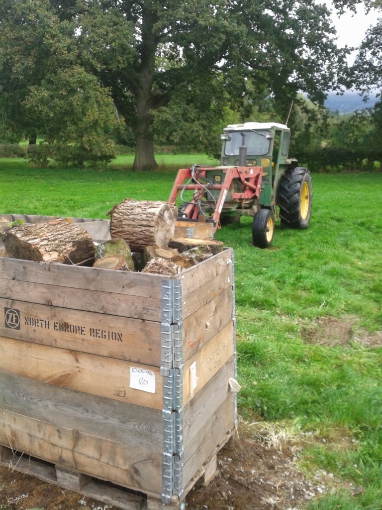An English Homestead Moving Firewood