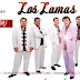 Los Lamas - Discografía [20 CDs][2015][MEGA][1Link]