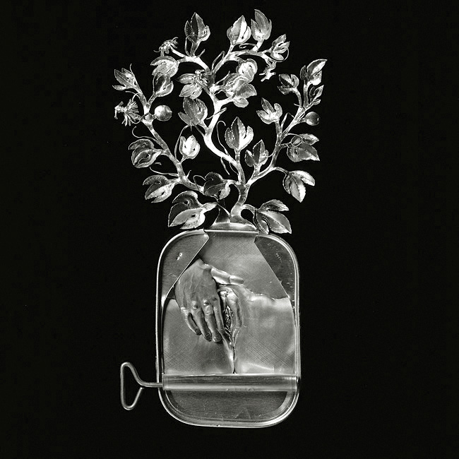 Sardine Tin Art
