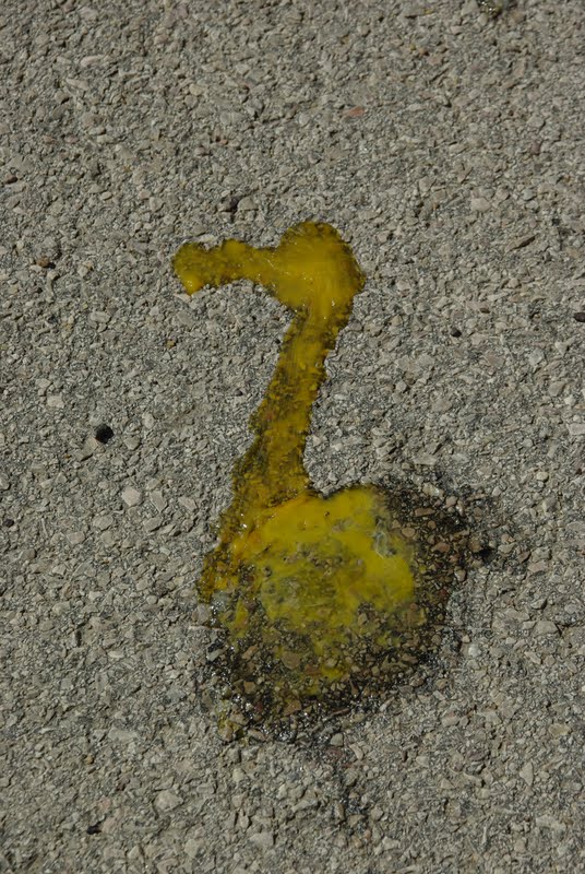 Yucky Duck