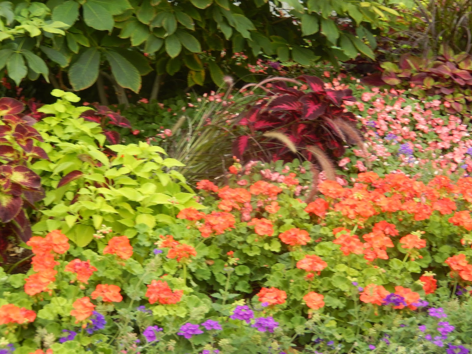 The French Tangerine end of summer garden walk