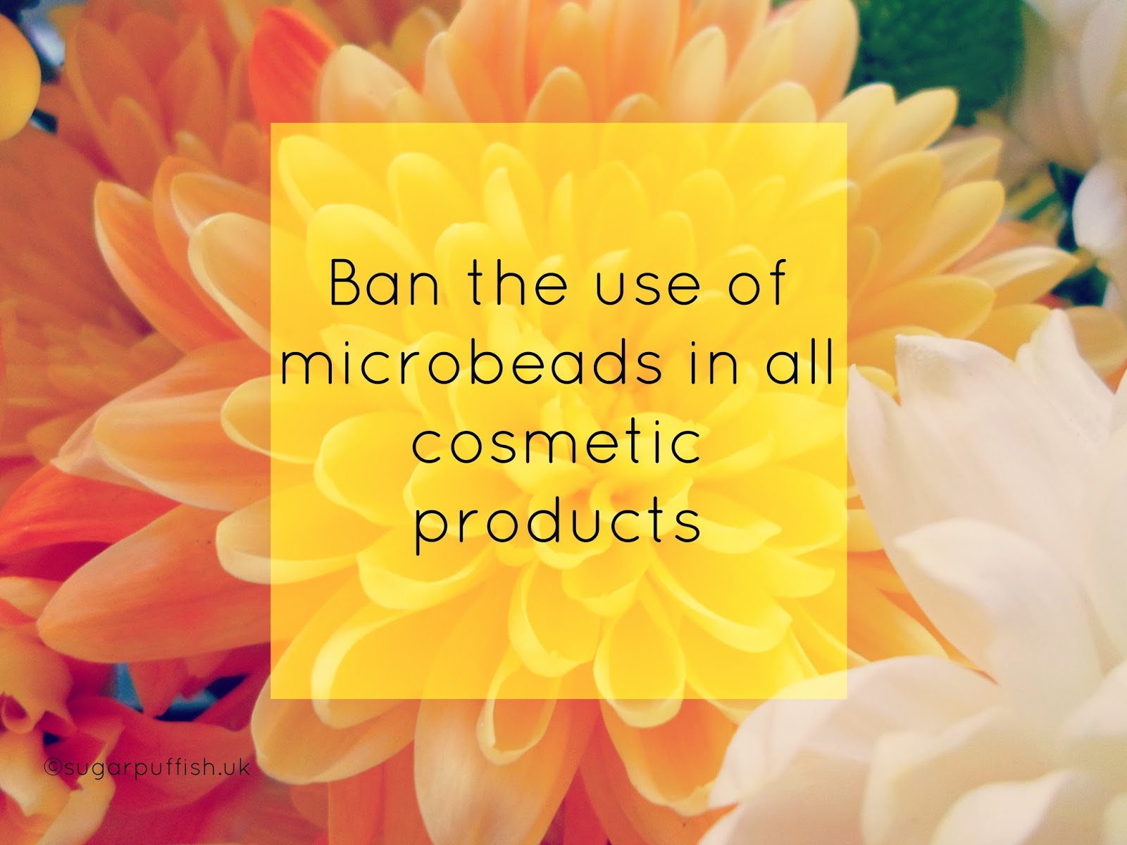 Environmental Issues Ban Microbeads in Cosmetic Products Sugarpuffish