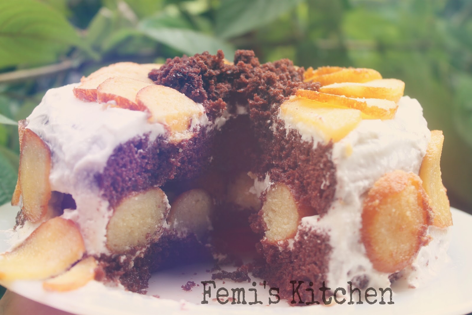 Femi's Kitchen GULAB JAMUN CAKE