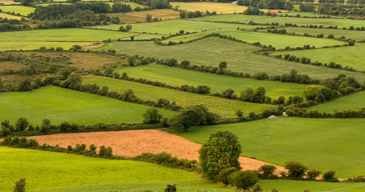 A Backpacker's Life Irish Farmland