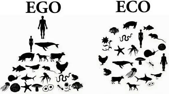 EGO / ECO