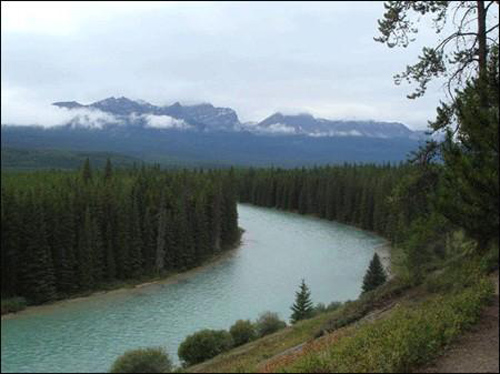 [Image: vedepdatnuoccanada.jpg]