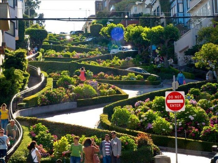 Green Dune Lombard Crooked Street in San Francisco