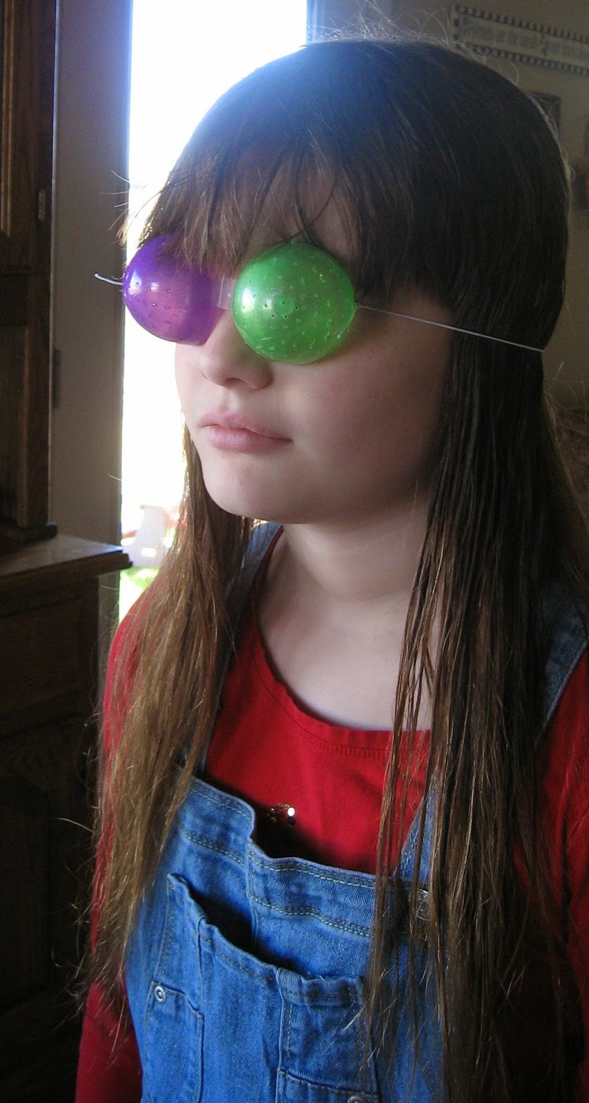 Almost Unschoolers Plastic Egg Compound Insect Eye Glasses