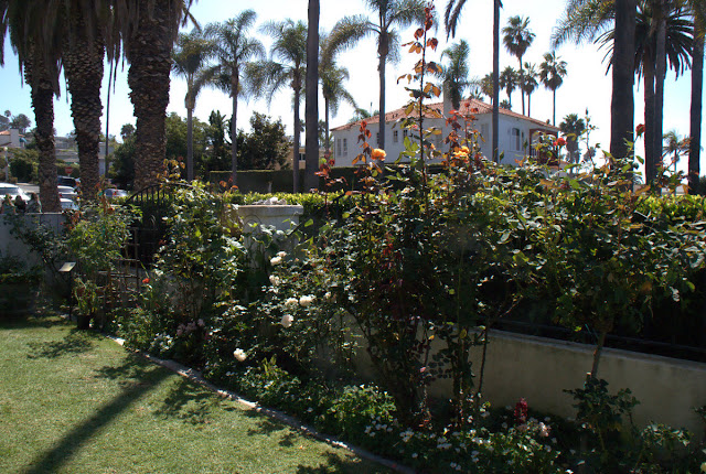 Organic Garden Dreams: "Autumn in the Garden", San Diego Garden Tour I