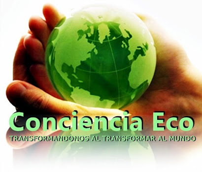 Actividad de evangelización concientizando el cuidado del medio ambiente, Zona Buenos Aires
