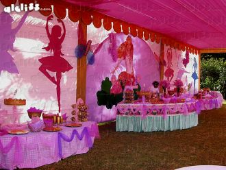 Barbie Backdrop