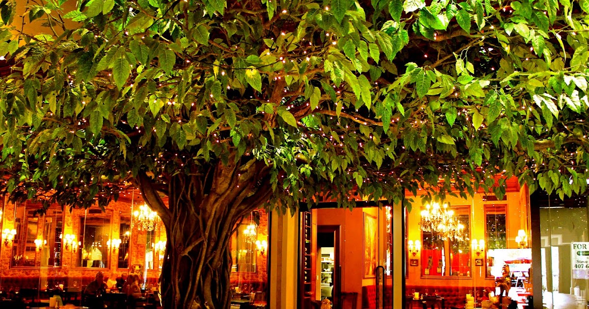 Free to be Lea Paris Bistro