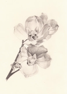 Rachel's art blog