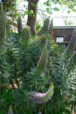 Matisse Nordic Wedge Sandal In Black Save 1 Lyst