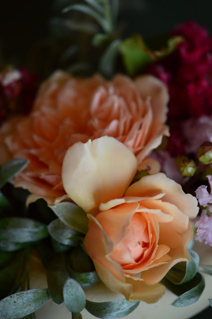 rose Crown Princess Margareta, monday vase meme, small sunny garden, amy myers photography