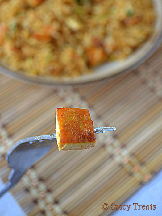 Spicy Treats: Tofu Masala Rice N Special Award