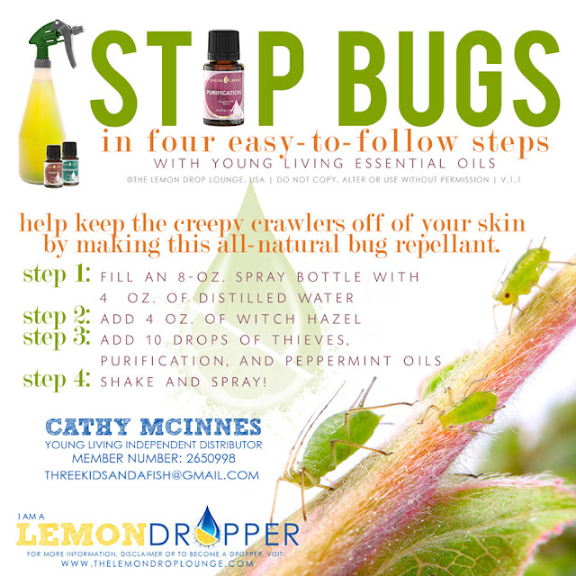 oils journey make your own bug spray