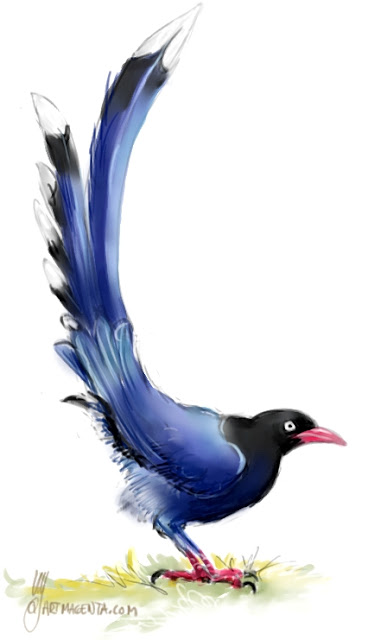 Taiwan blue magpie drawn by Artmagenta