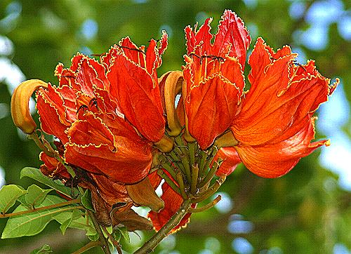 synonymes rencontre