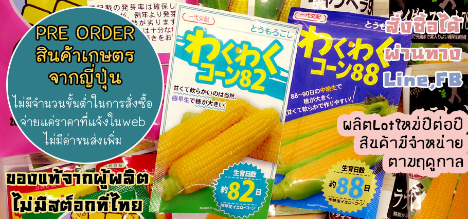 Cat Seeds Pre Order เมล็ดพืชจากญี่ปุ่น