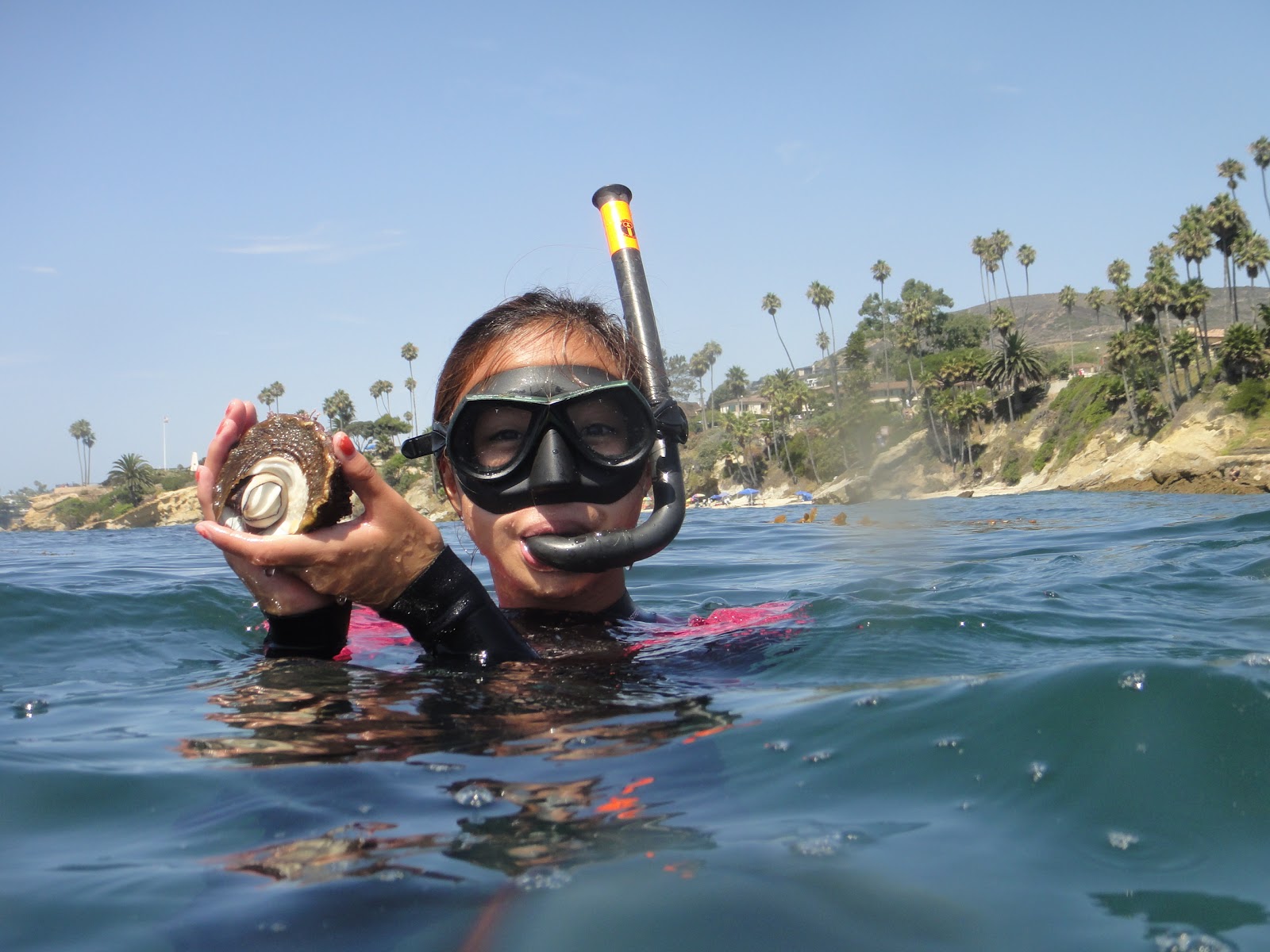 Happy Trails Snorkeling at Laguna Beach