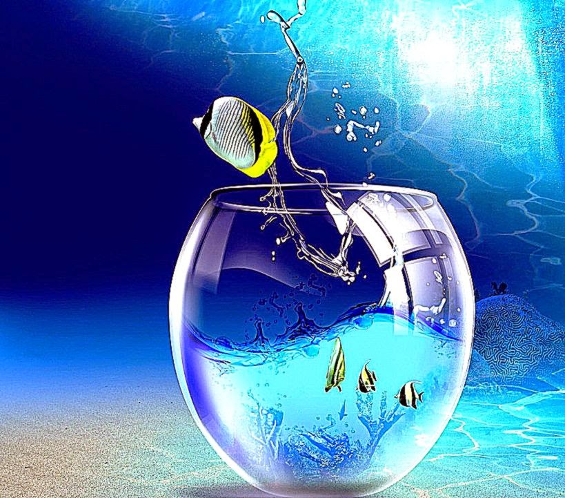 Moving Desktop Wallpapers And Backgrounds  Free Best Hd Wallpapers Moving Desktop Wallpapers And Backgrounds  Free Best Hd Wallpapers