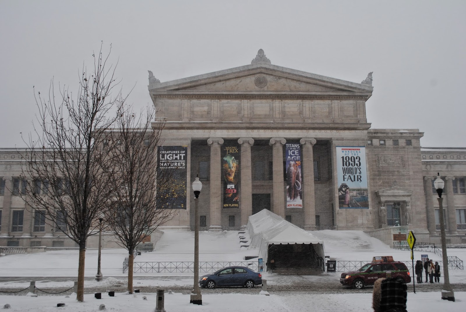 The Carpetbagger MoldARama